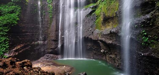 Madakaripura Waterfall, East Java Indonesia