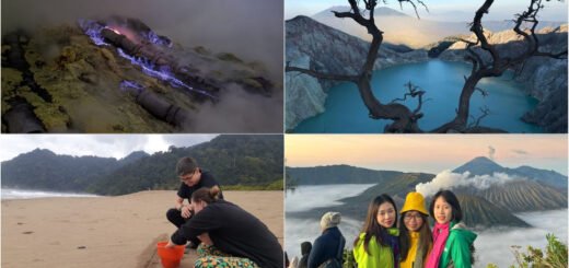 Blue Flame Ijen Crater, Sukamade, Mt Bromo Tour 4 Days