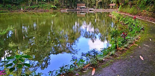 Rawa Bayu in Banyuwangi