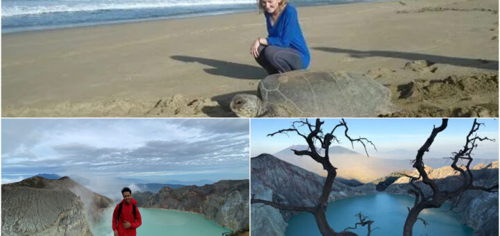Sukamade Beach, Ijen Crater Tour 3 Days