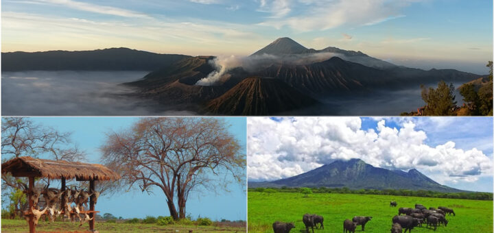 Mount Bromo, Baluran Safari Tour Package 3 Days