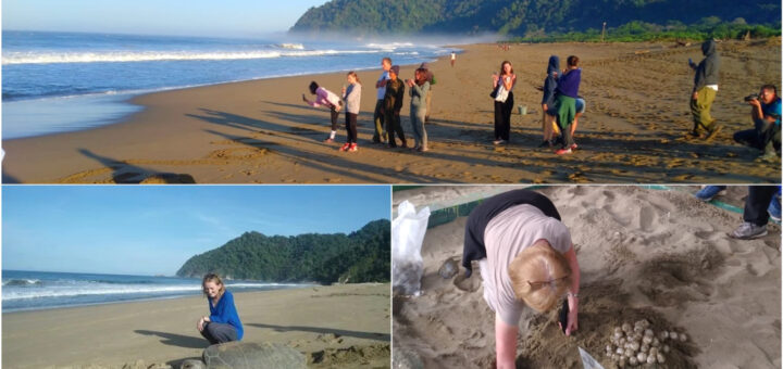 Sukamade Beach Tour Package from Banyuwangi