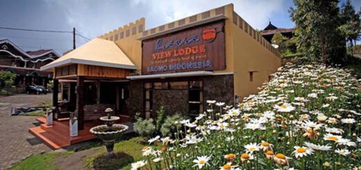 Lava View Lodge Mount Bromo