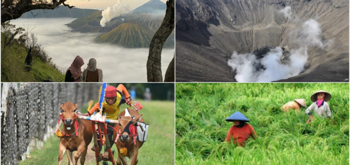 Mount Bromo tour package 1 day from Probolinggo Port
