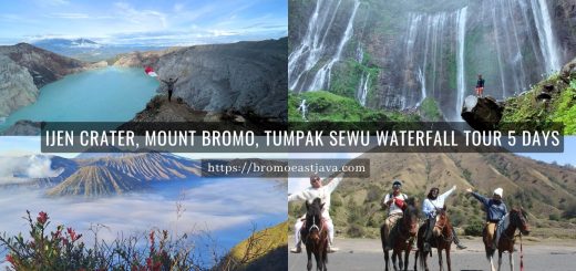 Ijen Crater Mount Bromo Tumpak Sewu Waterfall Tour 5 Days